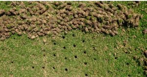 The Benefits of Fall Aeration: Why It’s Essential for a Healthy Lawn Next Spring